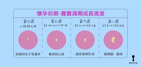 懷孕|【懷孕週期症狀】新手媽咪必讀！40週寶寶成長進度、。